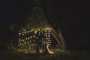 How To Get Creative With Fairy Lights Photography I Skylum How To How To Get Creative With Fairy Lights Photography I Skylum How To