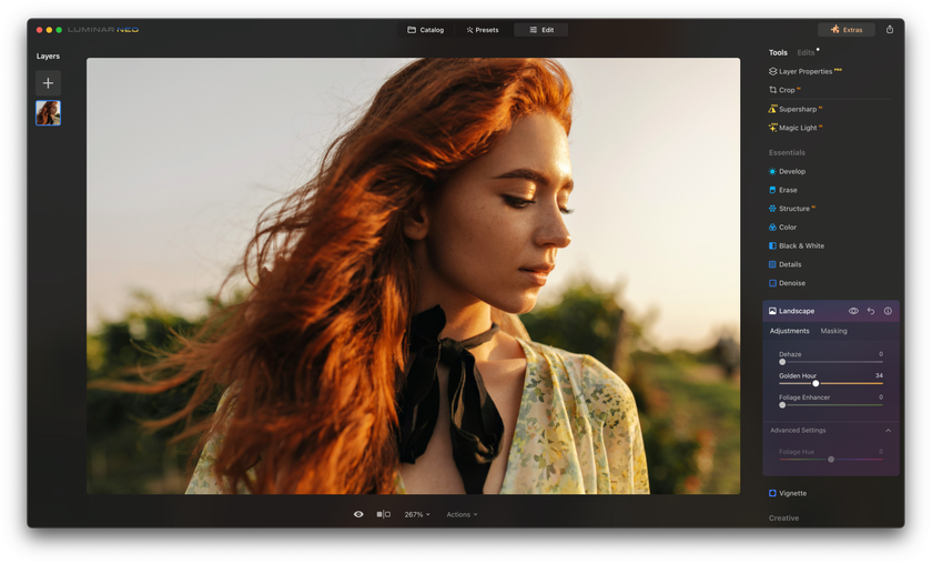 How to Edit Soft BROWN TONES for Portrait Photography in Luminar AI Image4