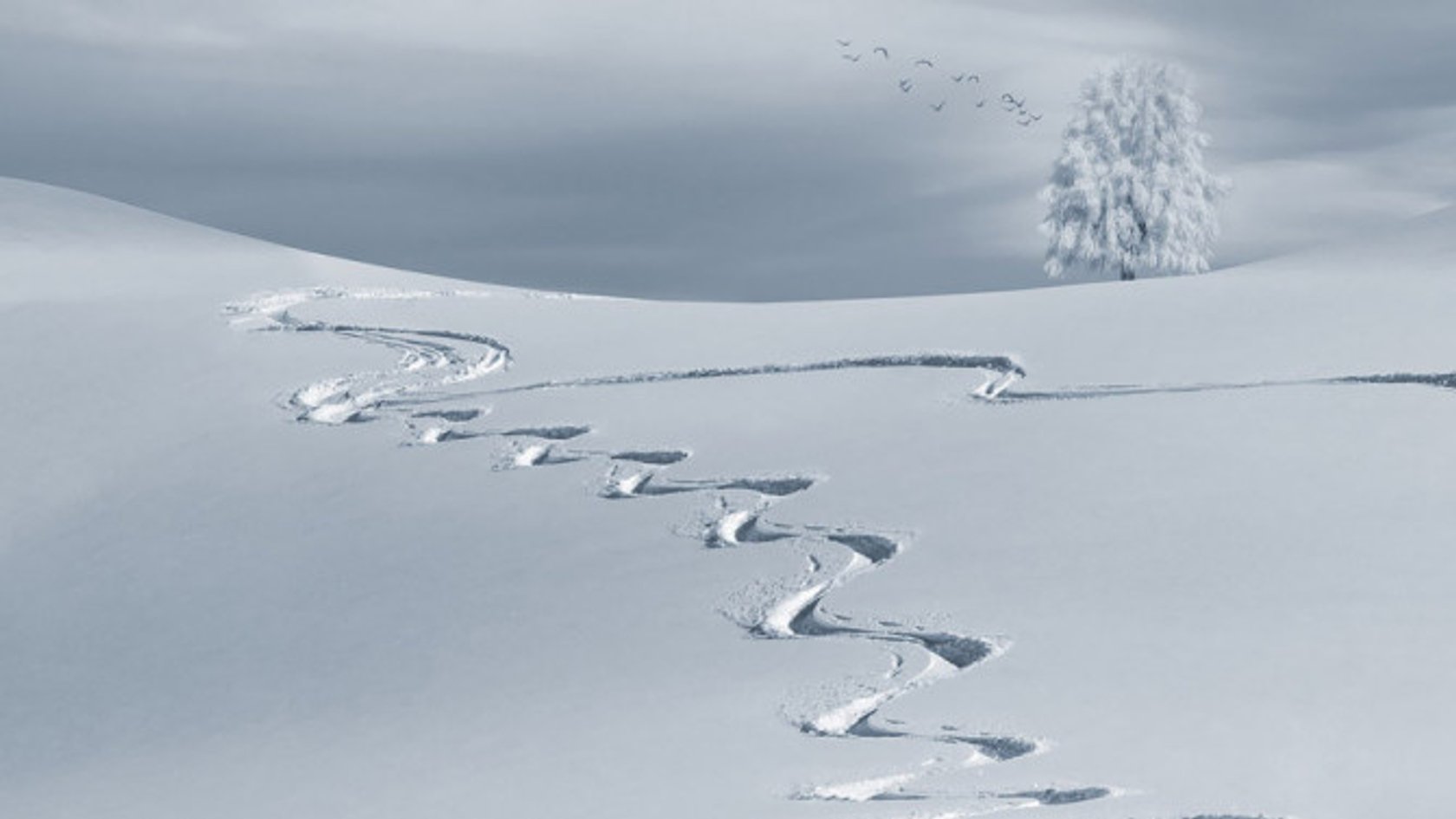 best white balance setting for snow