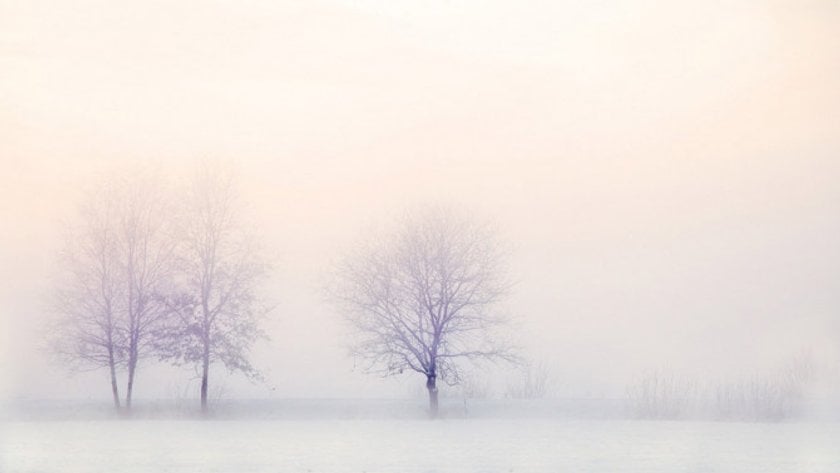 A Short Guide to Winter Photography Image7