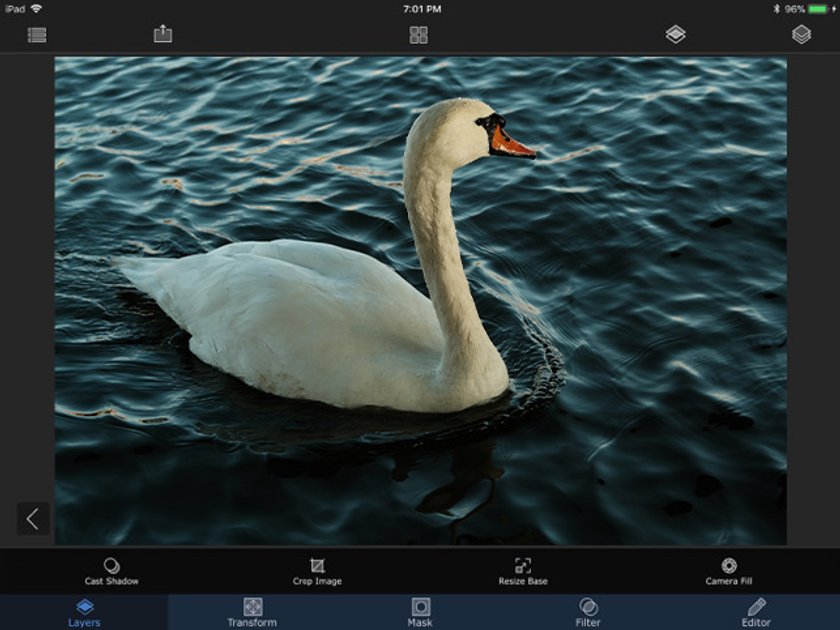 How To Remove Background From Photo With IPad Image6