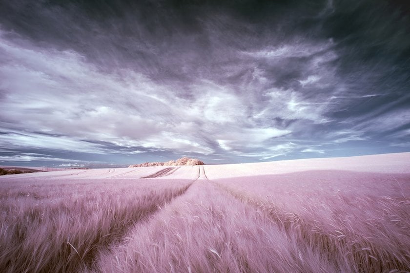 Infrared Photography: The Art of Capturing Invisible Light Image1
