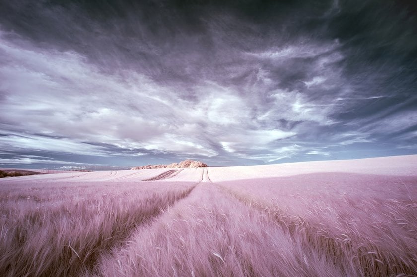 IR (Infrared) Photography | Skylum Blog(3)