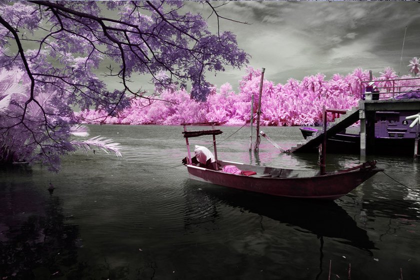 Infrared Photography: The Art of Capturing Invisible Light Image4