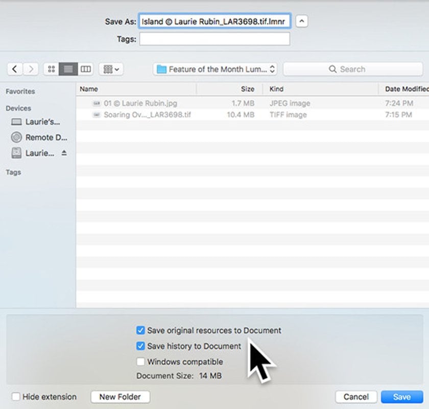 Saving a Native Luminar 2018 File with History (on a Mac) | Skylum Blog(7)
