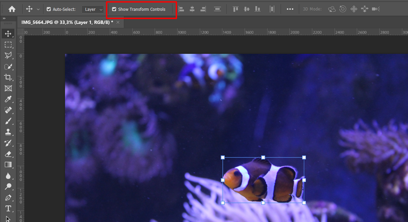 How to Resize a Layer in Photoshop: 3 Easy Ways Image5