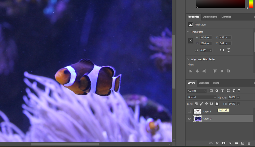How to Resize a Layer in Photoshop: 3 Easy Ways Image8