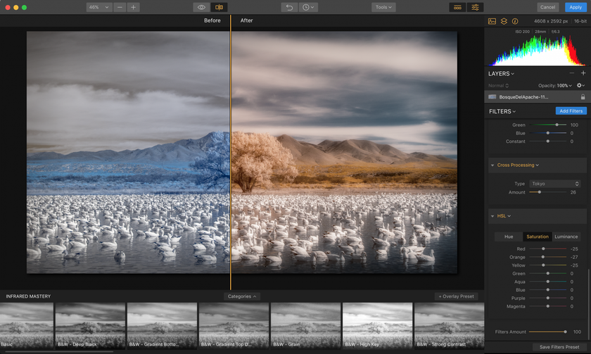 The Magical World of Infrared Photography Image3