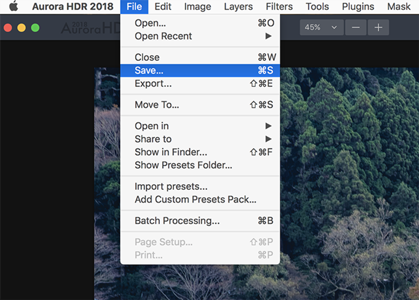 Saving a Native Aurora HDR File with History on a Mac | Skylum Blog(4)