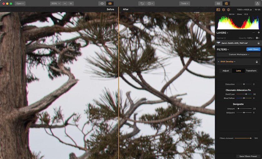 Raw Image Makeover with Luminar 2018 Image4