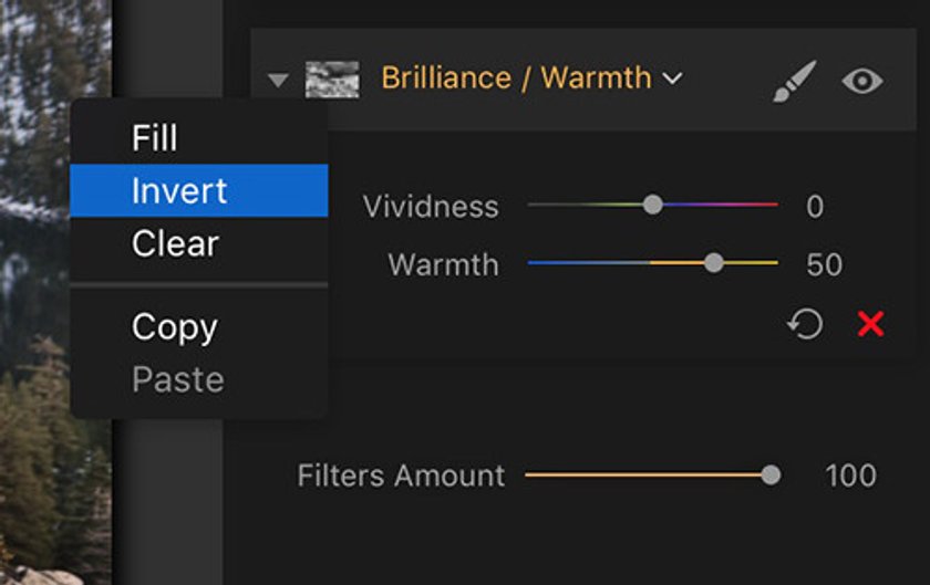 Raw Image Makeover with Luminar 2018 Image12