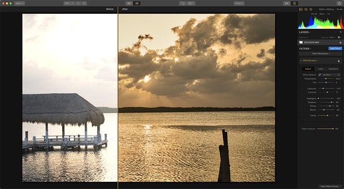 Video: Getting Pro Results with the Raw Develop Filter | Skylum Blog(2)