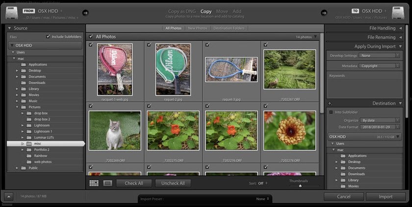 A Beginner’s Guide to Importing Photos into Lightroom Image1