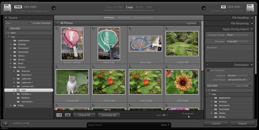 Importing Photos into Lightroom | Skylum Blog(2)