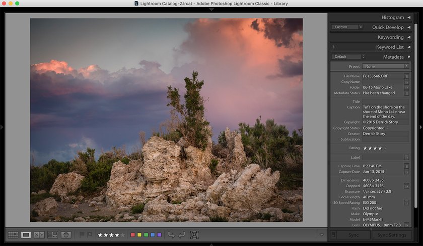 Working With DNG Files in Luminar Image4