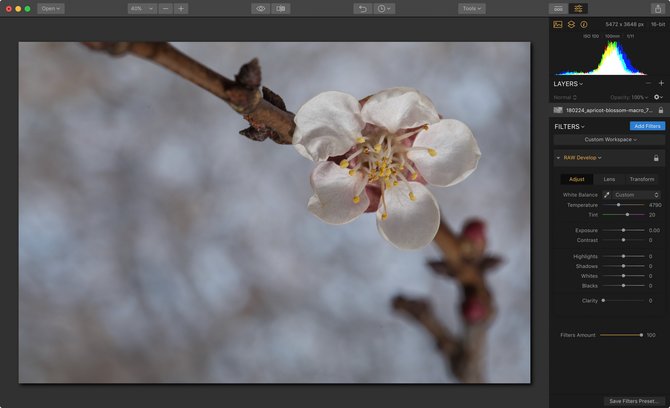 Why a Good White Balance Matters | Skylum Blog(6)