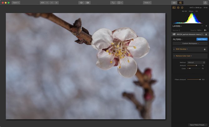 Why a Good White Balance Matters | Skylum Blog(7)