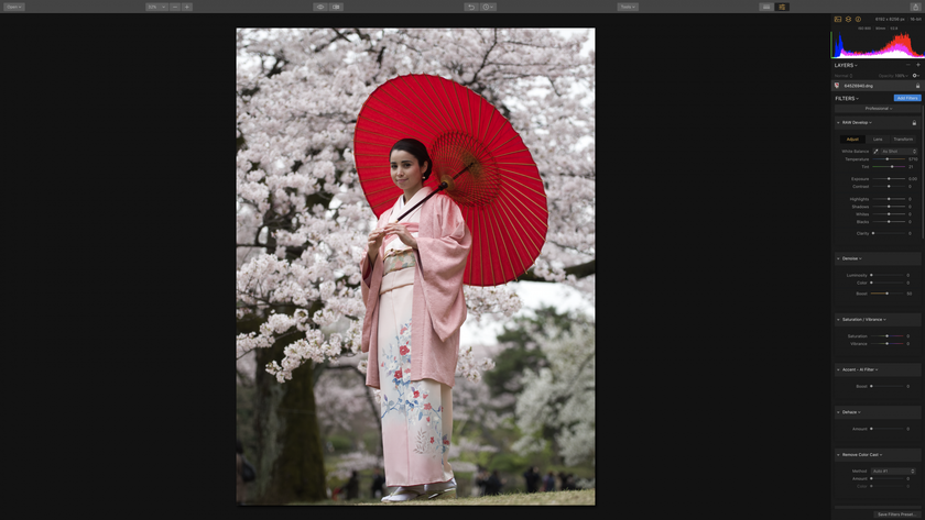 桜の撮影(7)