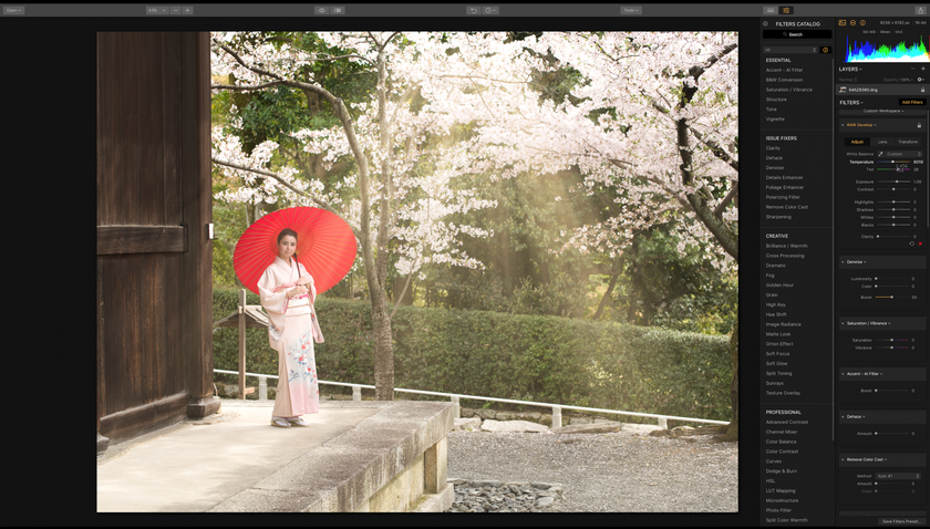 桜の撮影(8)