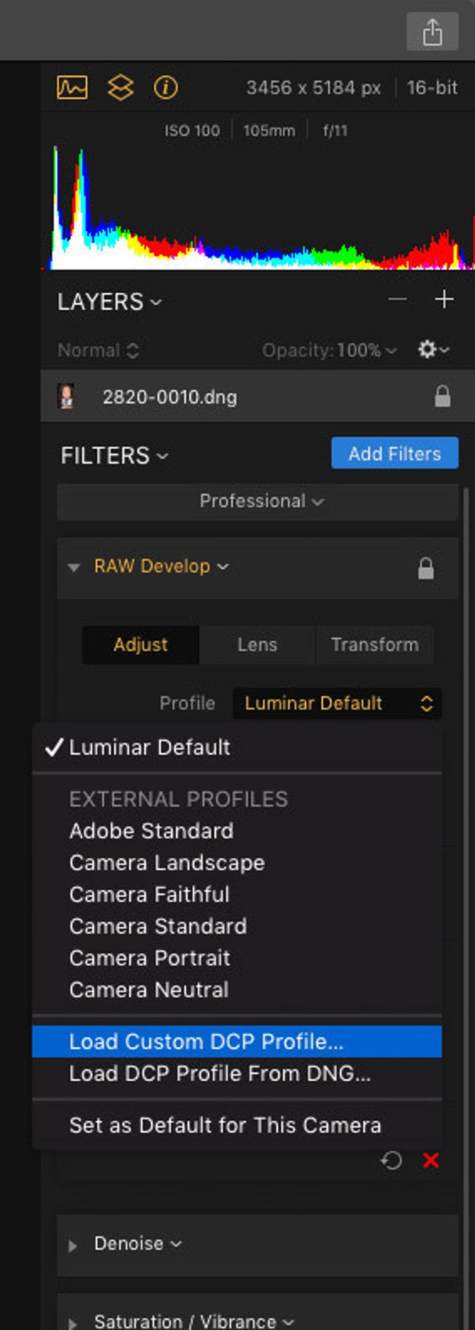 How to Use Digital Camera Profiles with Luminar for Best Color Results | Skylum Blog(5)