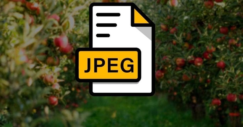 How To Convert HEIC To JPG On Mac Quick And Easy Image3