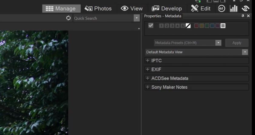 File viewing formats in DAM | Skylum Blog