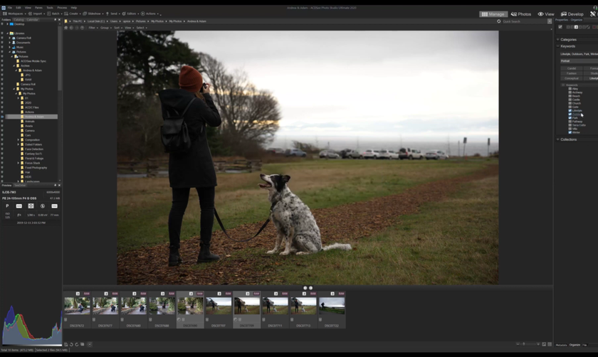 DAM interface | Skylum Blog