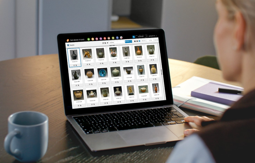Digital Asset Management for Photographers: Best Software Guide | Skylum Blog(3)