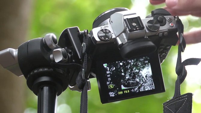 Get To Know Your Camera: Choosing File Types | Skylum Blog