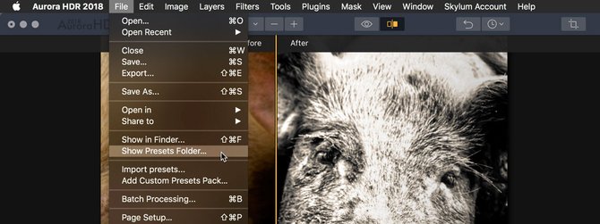 Aurora QuickTip: Revealing Your Presets | Skylum Blog(2)