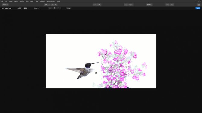 Quickly Create a Beautiful Composite From Two Images | Skylum Blog(3)