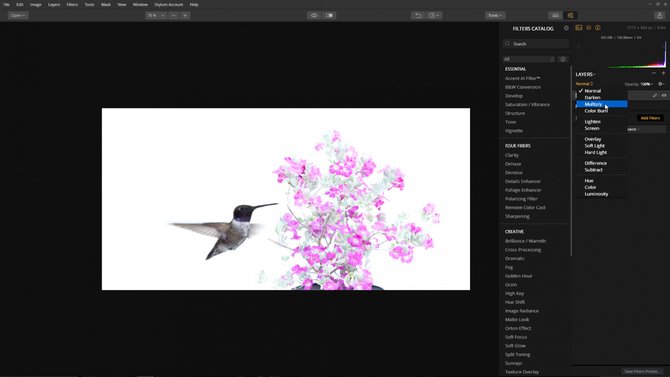 Quickly Create a Beautiful Composite From Two Images | Skylum Blog(4)