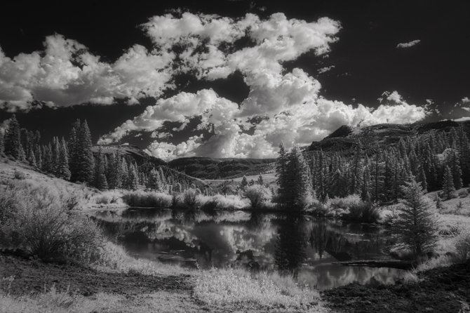 The Magical World of Infrared Photography | Skylum Blog(2)