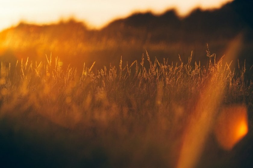 Golden Hour: What is it? - Skylum Glossary