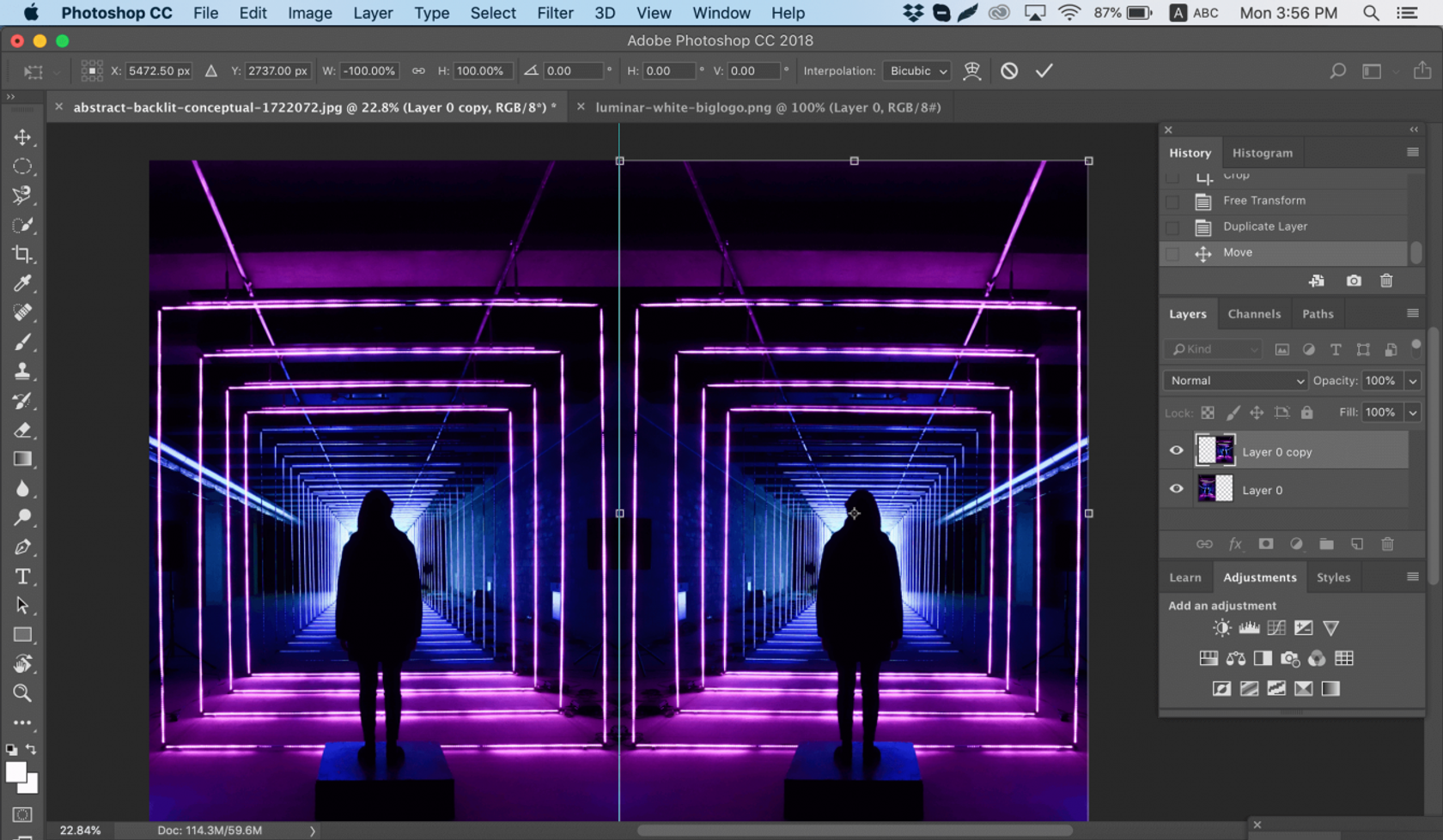 wie-flip-ein-bild-in-photoshop-skylum-how-to-hi-tech