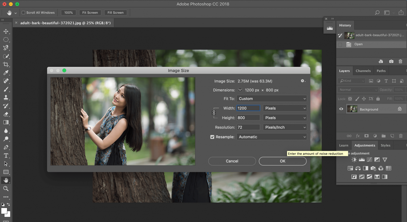 how to make a picture bigger in photoshop