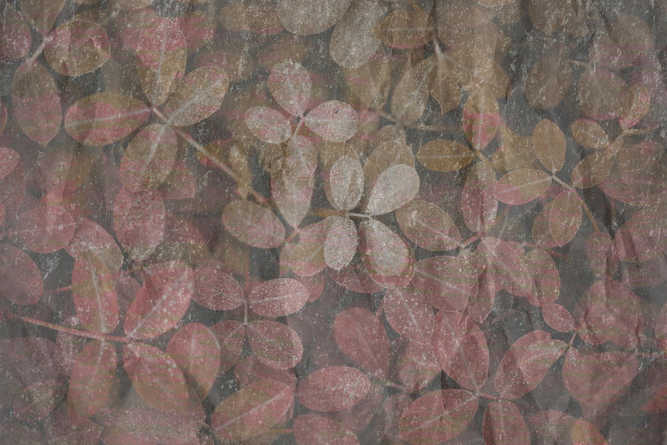 Wrinkled Brown Paper. Image & Photo (Free Trial)