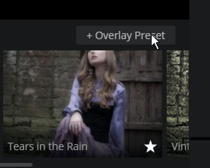 Working with Presets(4)