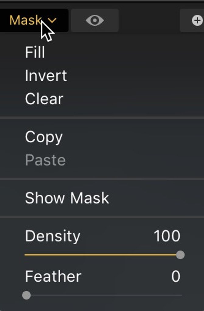 Masking Options in Luminar