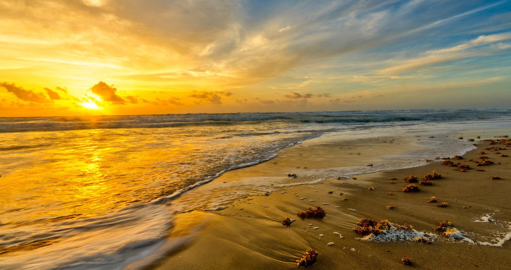 Sunset Beach Background Portrait