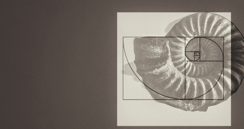 Golden Ratio in Art: The Secret to Perfect Composition