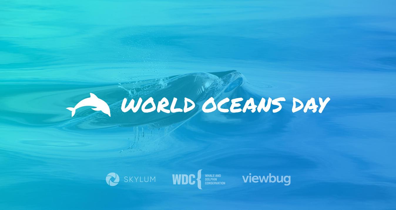 Feiere den Welttag der Ozeane mit Skylum
