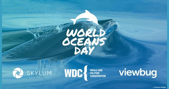 Celebrating World Oceans Day — All Month Long