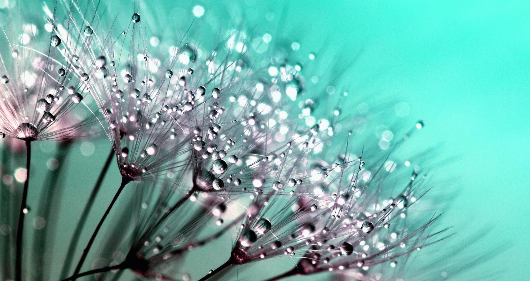 Makrofotografie Skylum Blog