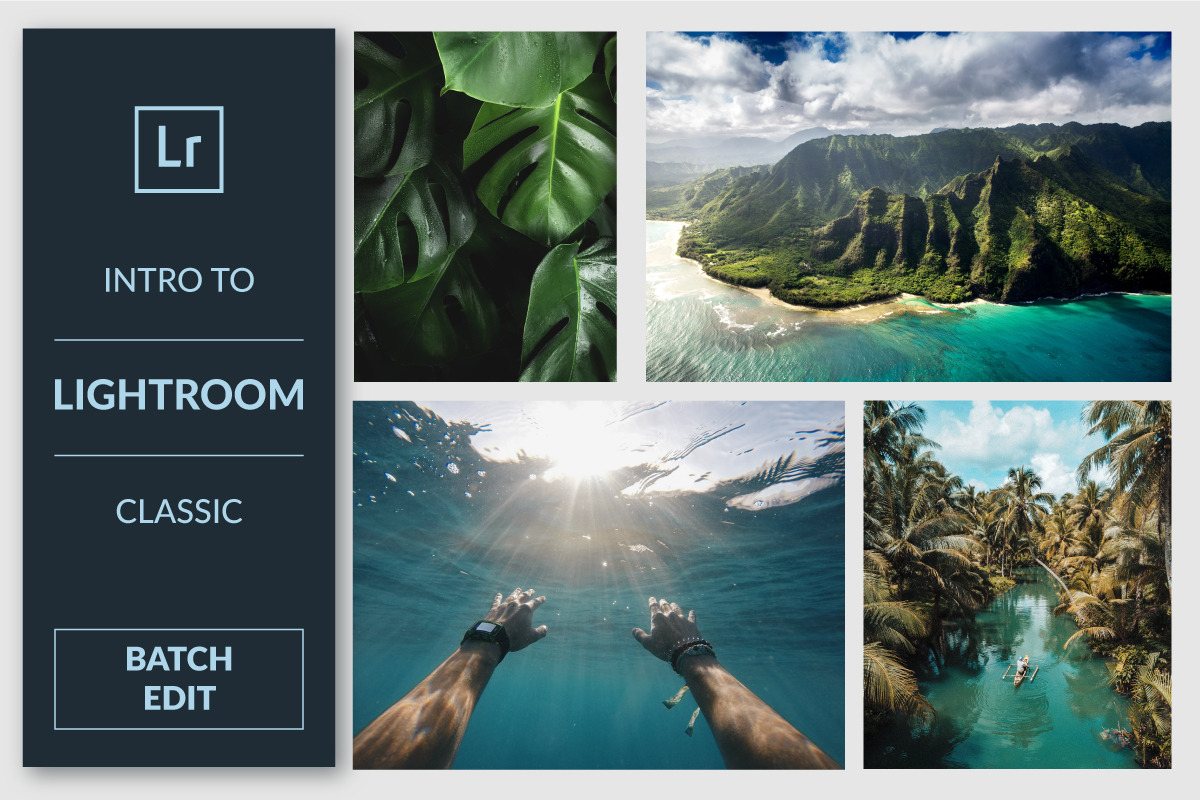 Tips for Faster Editing: Learn How to Batch Edit in Lightroom