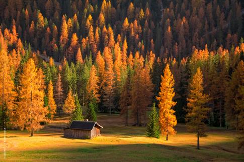 How To Edit Fall Photos To Bring Out The Fall Colors