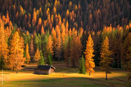 How To Edit Fall Photos To Bring Out The Fall Colors