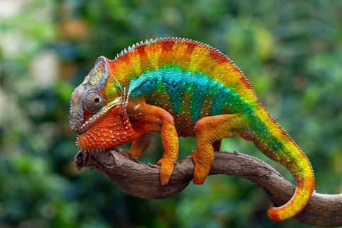 Meaning Of Colors In Photography