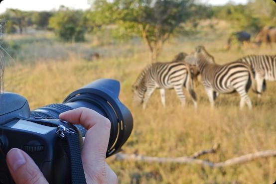 African Photo Safari: The Wild Through Your Lens