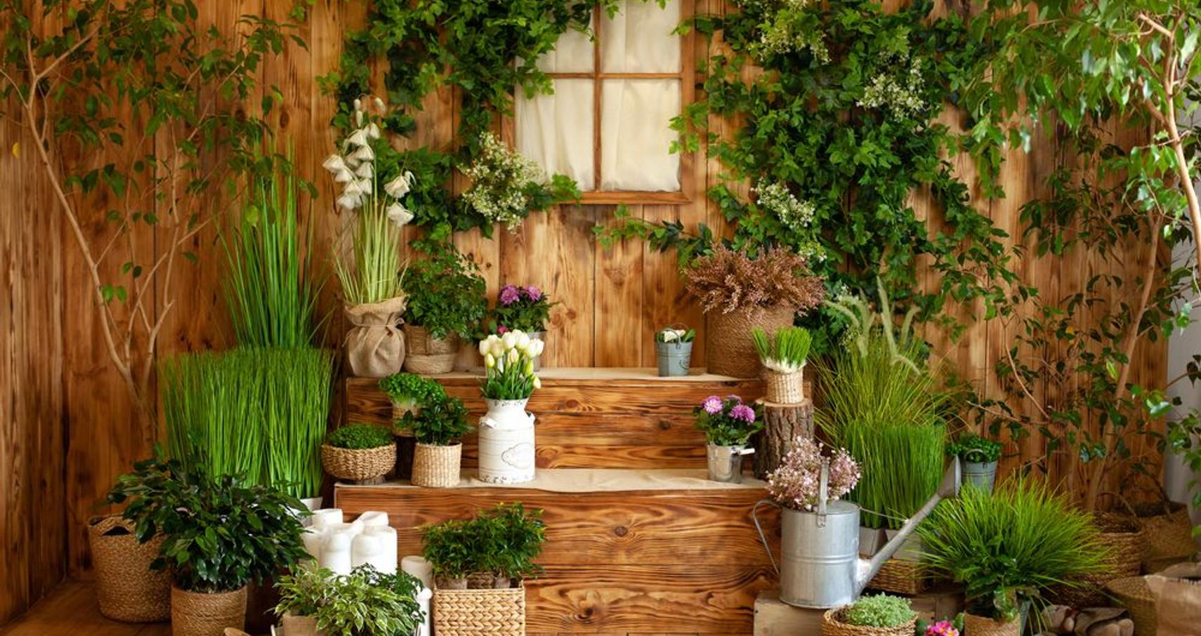 Create Beautiful Shots With This Spring Photo Backdrop Ideas | Skylum Blog